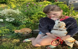 Mixed Breed dogs for adoption: 💖🐶 JULIET 🐶💖 - Image 11