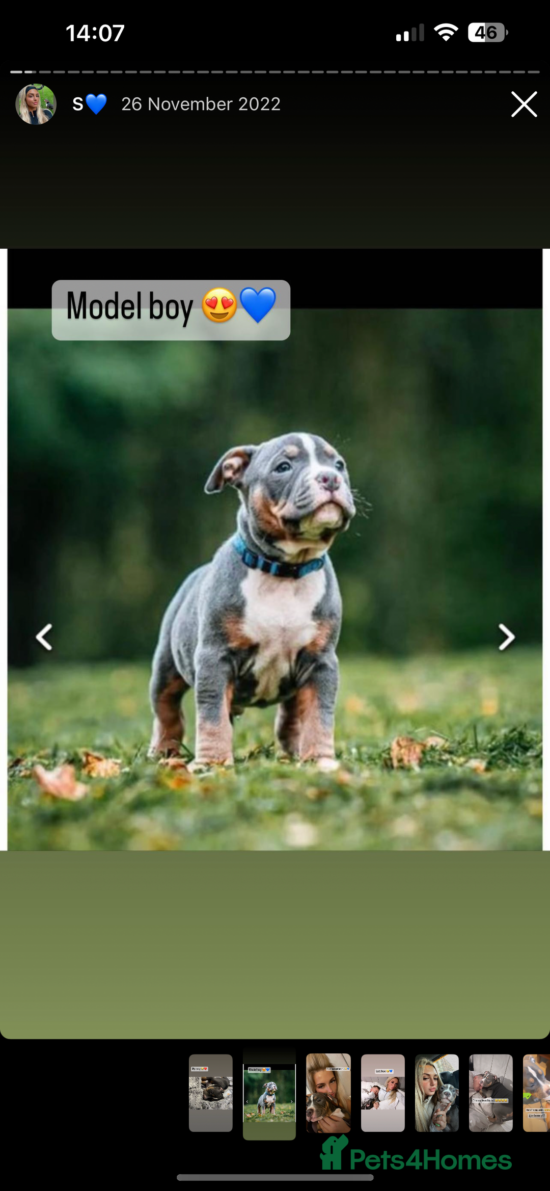 Gallery Image {{count}}