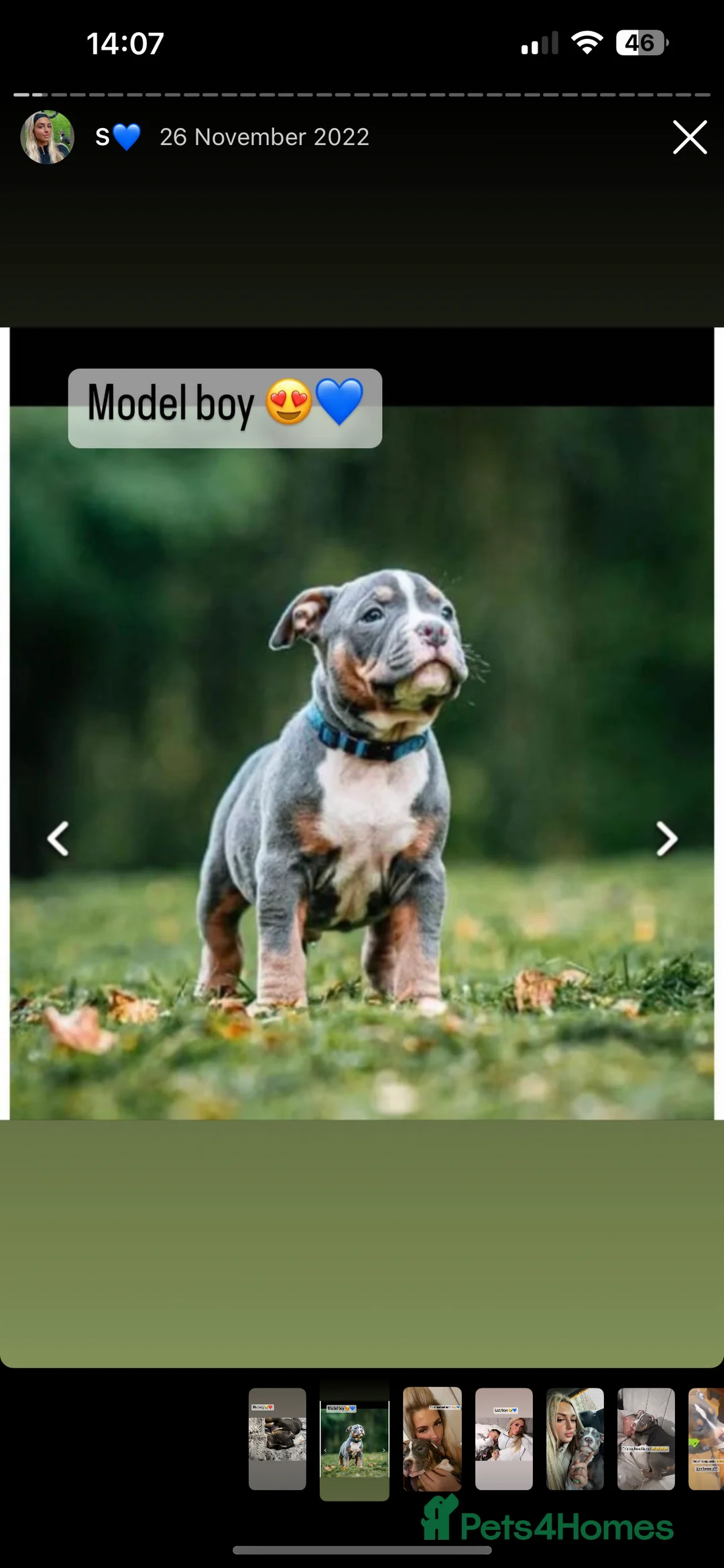 Gallery Image {{count}}