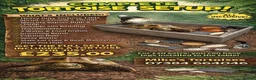 Tortoise reptiles for sale: Baby Horsfield Tortoises and Set Ups!! - Advert 4