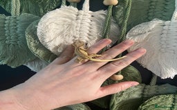 Gecko reptiles for sale: Crested Gecko babies - Image 5