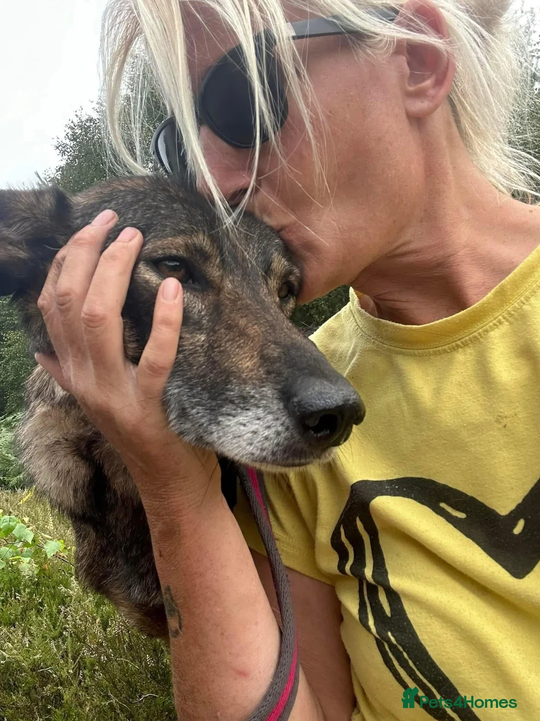 Mixed Breed dogs for adoption: Elsie - Norwich Norfolk  in Norwich - Advert 8