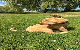 Labrador Retriever dogs for sale: Stunning Fox Red Labrador Puppies - Image 2