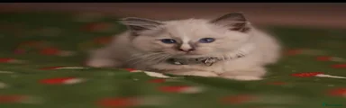 Ragdoll 3