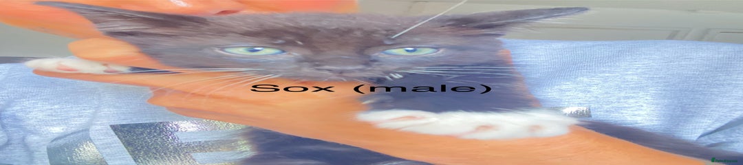 Sox