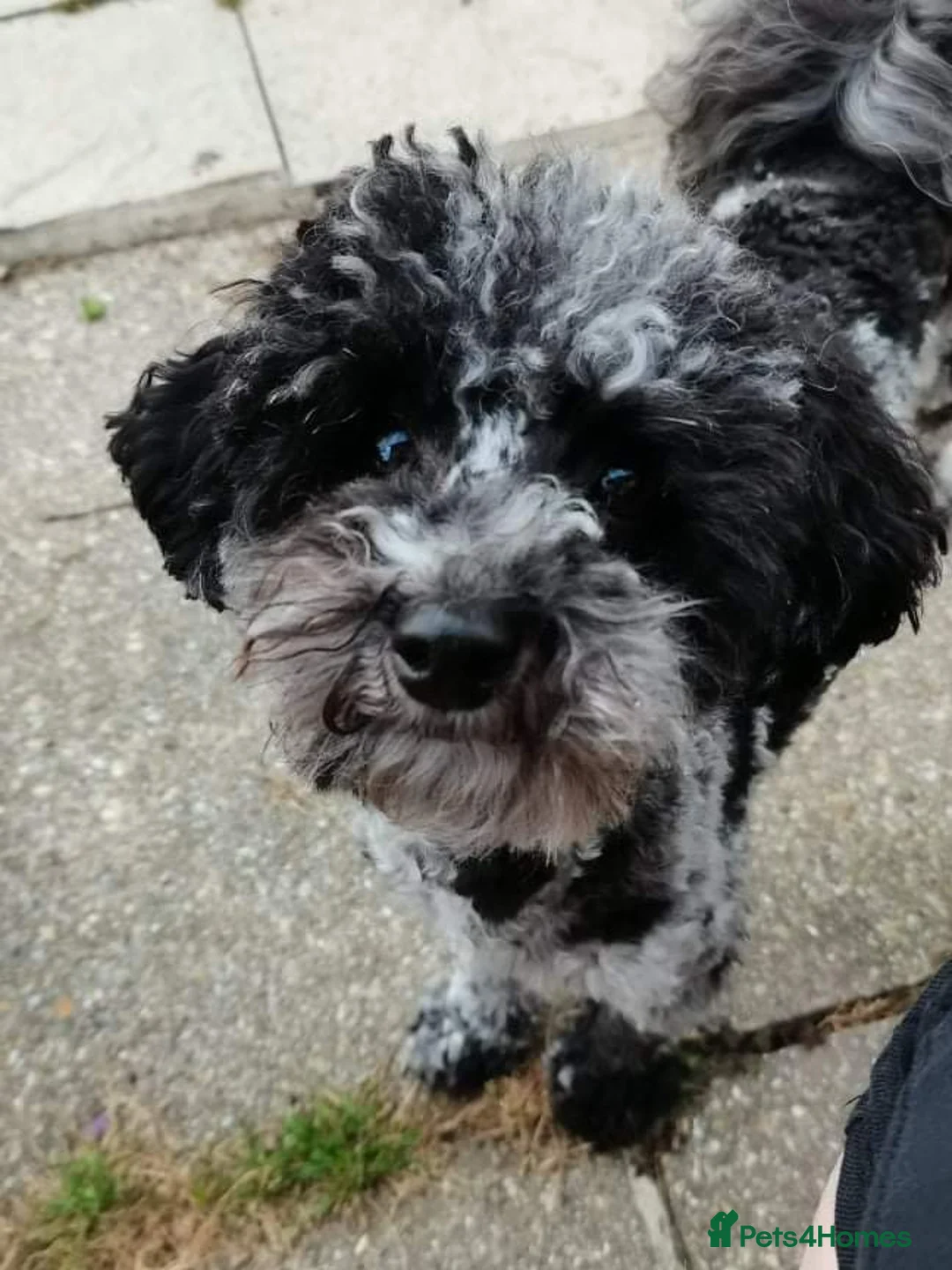 Gallery Image {{count}}