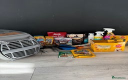 Toy Poodle dogs for sale: 5 month old toy poodle  - Image 11