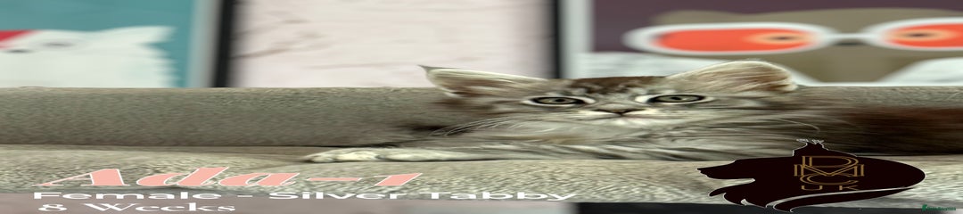 Ada-1