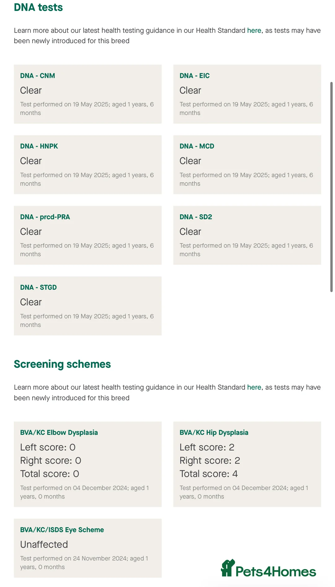 Labrador Retriever dogs for stud: Fully Health Tested KC Fox Red Labrador 🏆🧬 in Aboyne - Advert 5
