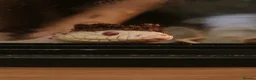 King Snake reptiles for sale: Albino florida king with set up in Saint Ives - Advert 1