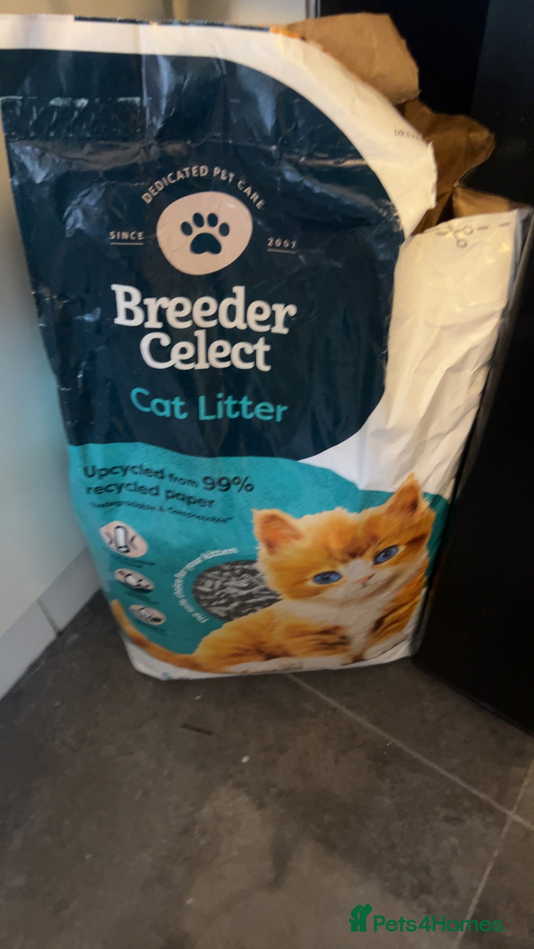 Rat rodents for sale: X2 male rats  - Image 6