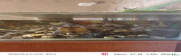 Turtle reptiles for sale: Turtles and large aquarium  - Advert 8