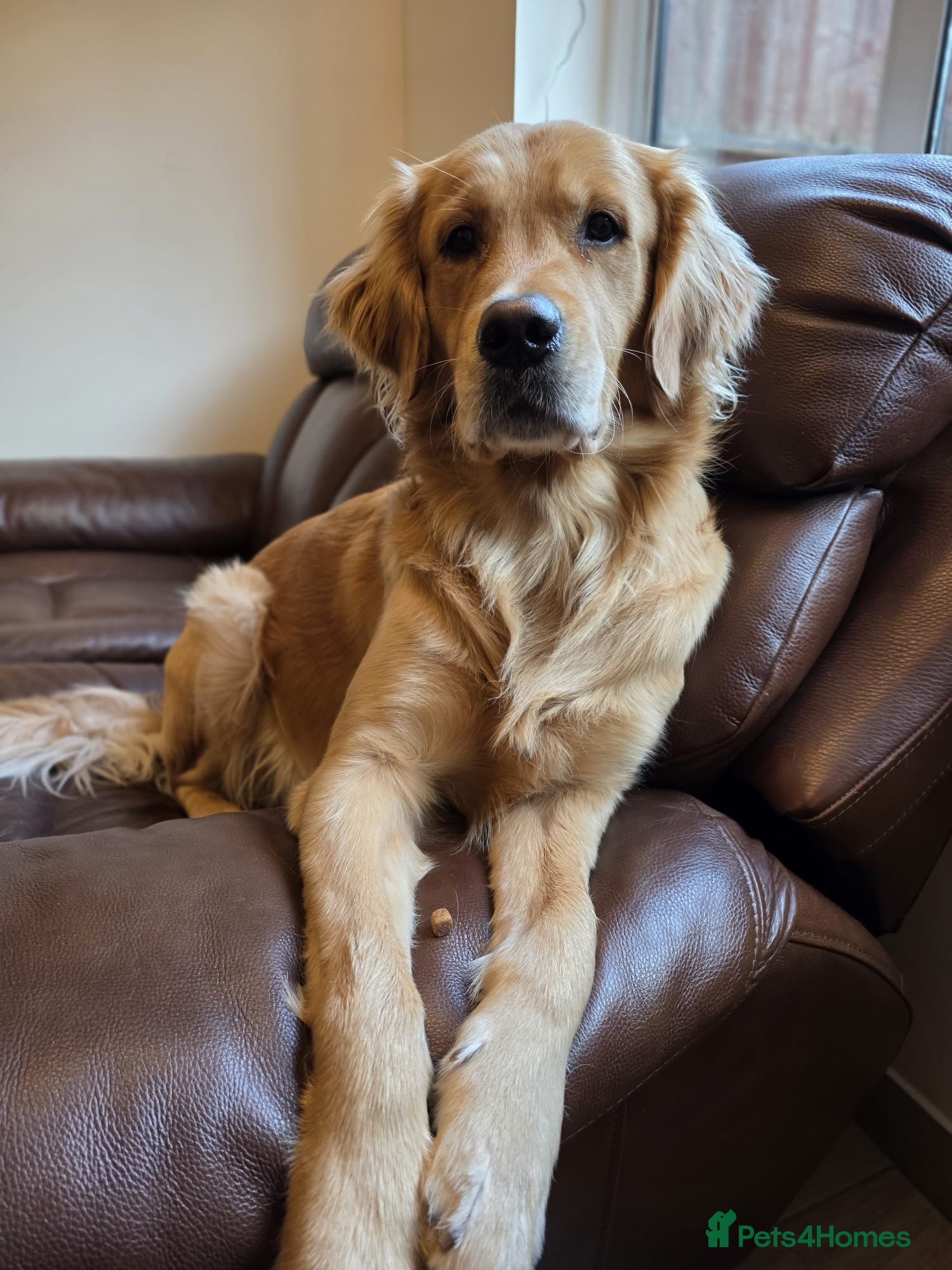 Rory