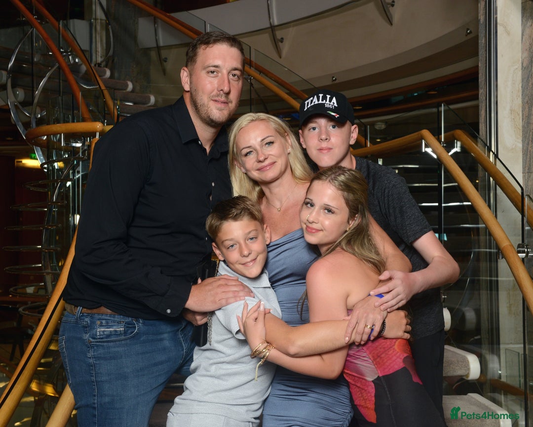 Gallery Image {{count}}