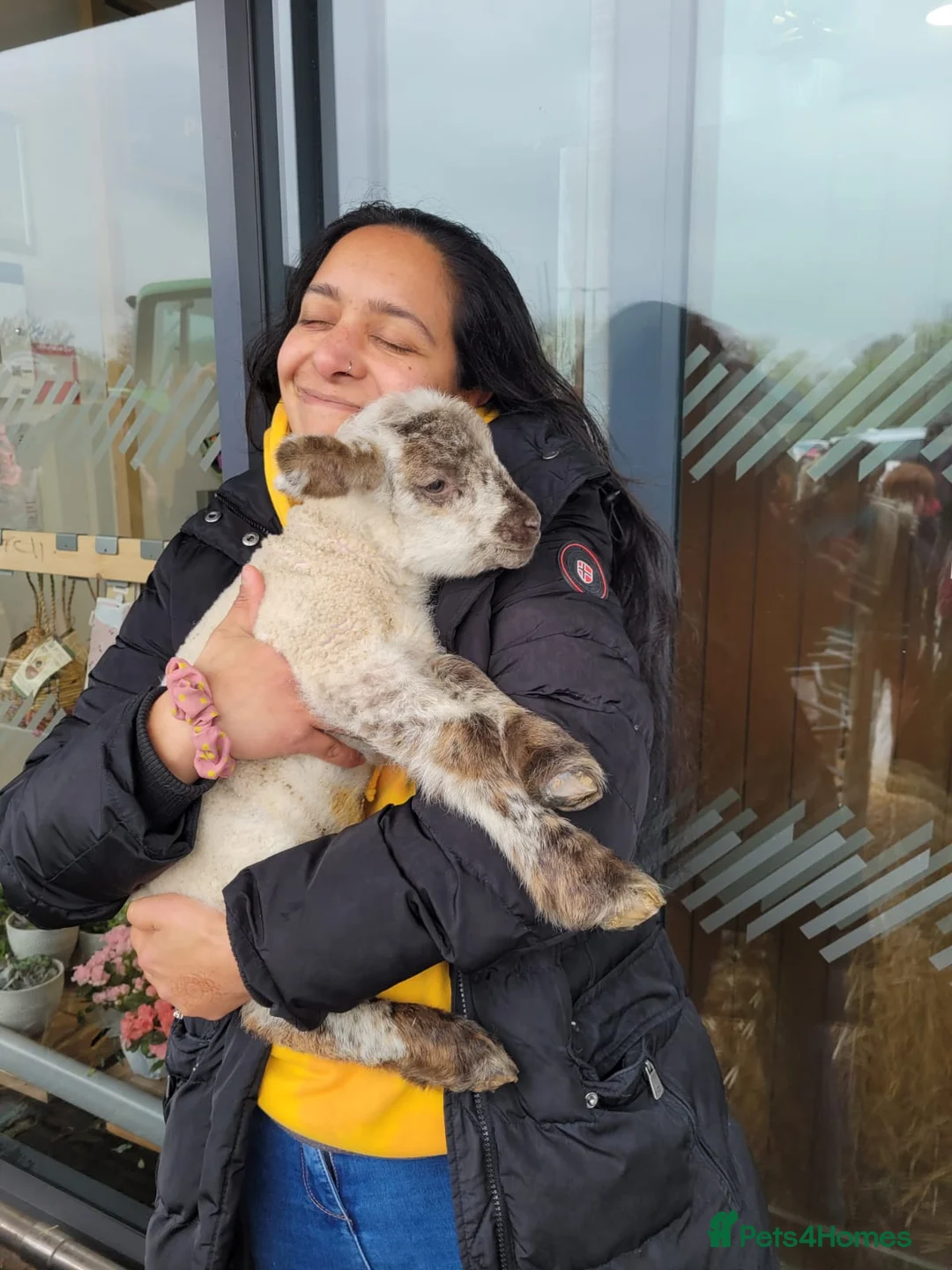 Gallery Image {{count}}