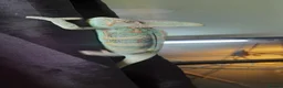 Chameleon reptiles for sale: Veiled chameleons  - Advert 3