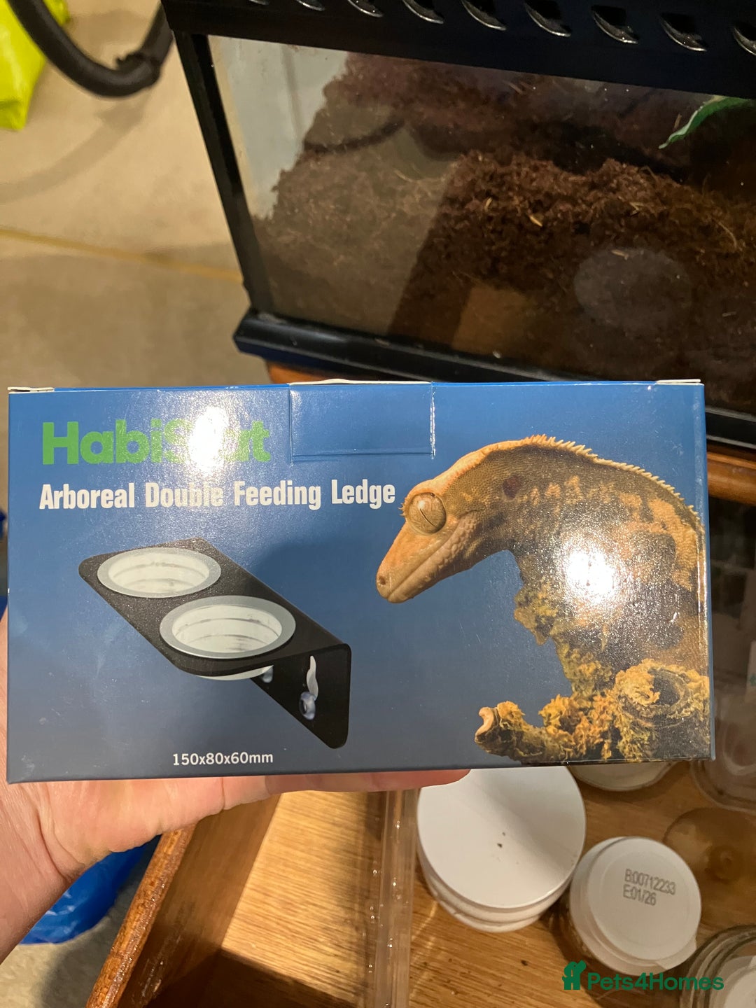 Gecko reptiles for sale: Crested Gecko and set up - Image 13