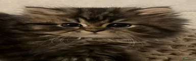 Persian 1