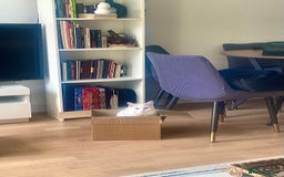 Ragdoll cats for sale: Beautiful Ragdoll - Image 6