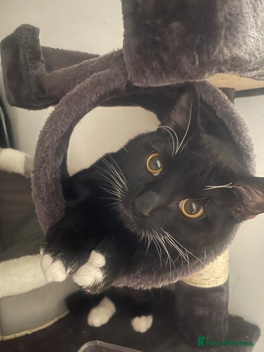 Gallery Image {{count}}