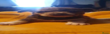 Chihuahua 2