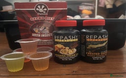 Gecko reptiles for sale: 5 Year Old Crested Gecko + Full Setup & Food - Image 4