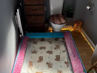 Cavapoo dogs Puppies DUE approx 4th April - Advert 14