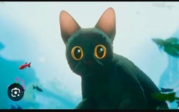 Mixed Breed cats for sale: 4 Black Kittens  - Image 9