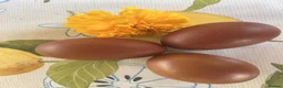 Chickens poultry for sale: French Copper Black Maran Hens for sale - Advert 2