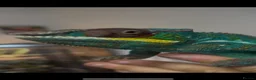 Chameleon reptiles for sale: Nosy Be Panther Chameleon And Full Set Up - Advert 6