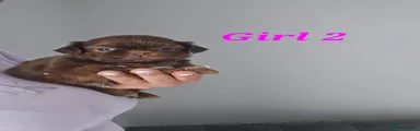 Girl 2