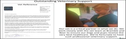 Labrador Retriever dogs for sale: Stunning Red Fox Labs-Health checked, KC Reg, FTCH - Advert 26