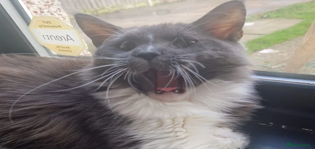 Gallery Image {{count}}