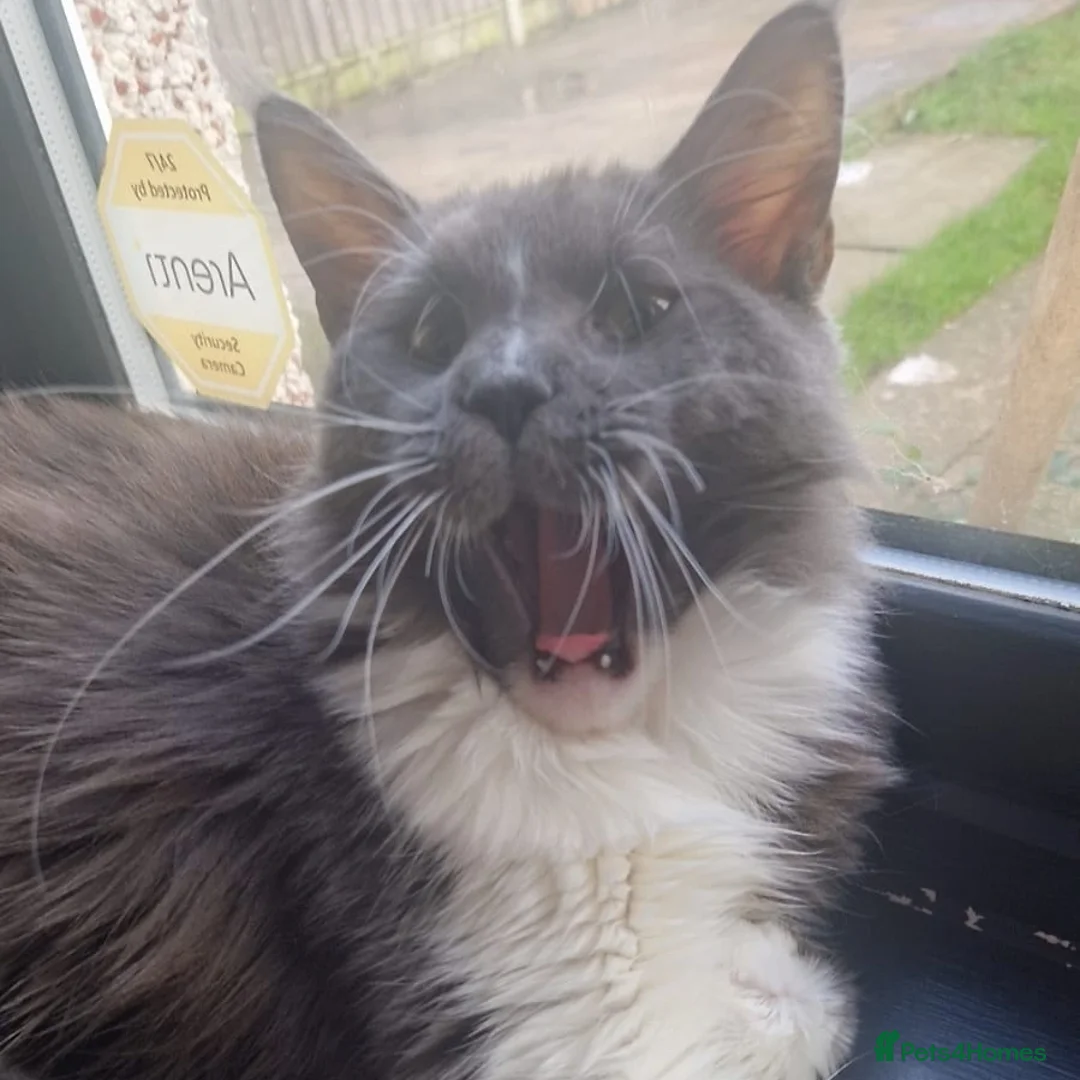 Gallery Image {{count}}