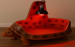 Tortoise reptiles for sale: The vividarium tortoise home - Image 3
