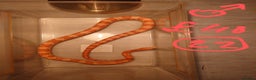 Snake reptiles for sale: My collection of corn snakes. - Advert 4