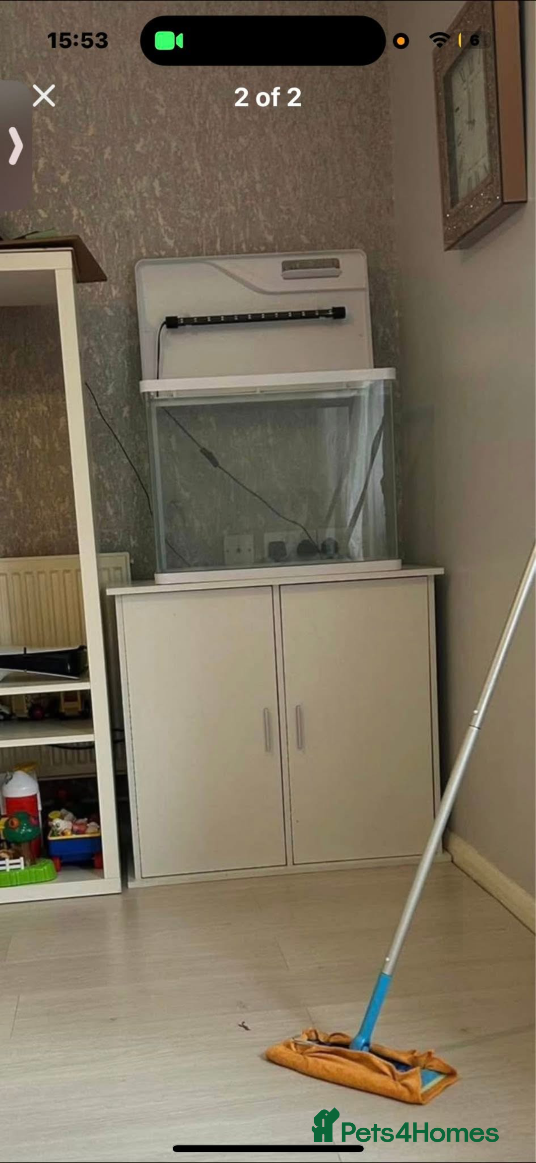 Corys fish for sale: Fish tank stand and fish for sale - Image 2