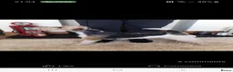 Fox Terrier dogs for sale: Beautiful Wire haired fox terrier girl for sale in Durham - Advert 2