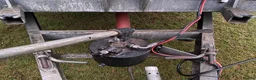 Mixed Breed livestock for sale: Tipping flat bed with sides - Advert 16