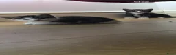 British Shorthair cats for sale: Two Adorable Kittens Ready for New Homes! - Advert 6