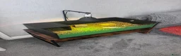Hermann Tortoise reptiles for sale: Hermann Tortoise in Blackwood - Advert 11