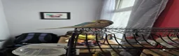 Budgerigars birds for sale: Baby budgies - Advert 3