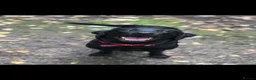 Labrador Retriever dogs for sale: 10 beautiful Labradors for sale  in Blackburn - Advert 5