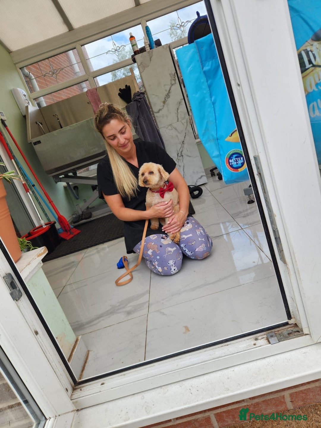 Gallery Image {{count}}