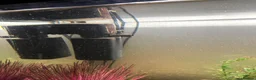 Goldfish fish for sale: Three foot fish tank and cabinet.  - Advert 4