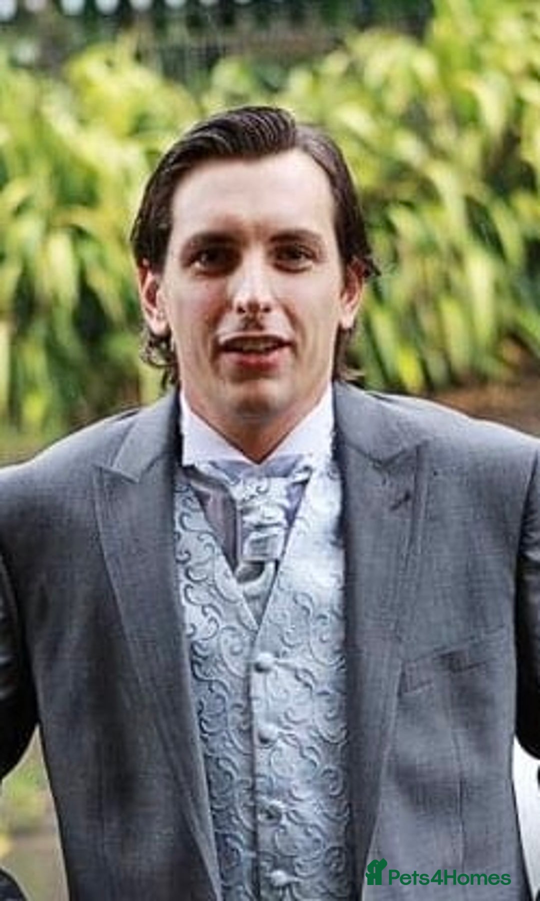 Huskita dogs for sale: Loving and affectionate Huskita  - Image 7