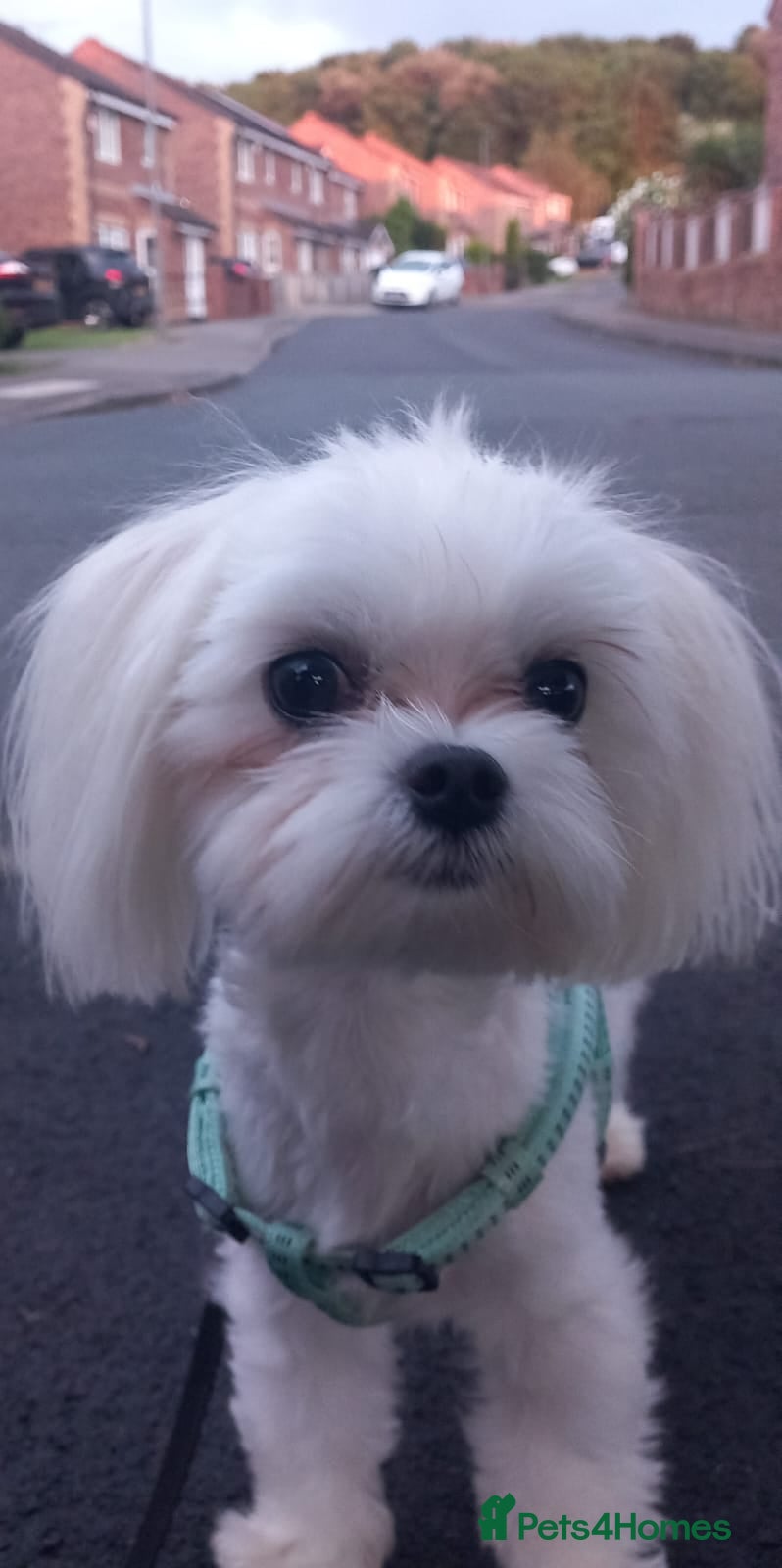 Max