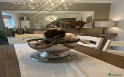 Cockapoo dogs for sale: Cockapoo puppies. Fully DNA tested.  - Image 20