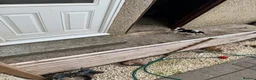 Bocker dogs for sale: Beagle/cocker spaniel  in Llangefni - Advert 4