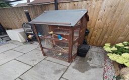 Mixed Breed birds for sale: BIRD AVIARY INCLUDING ALL BIRDS  - Image 3